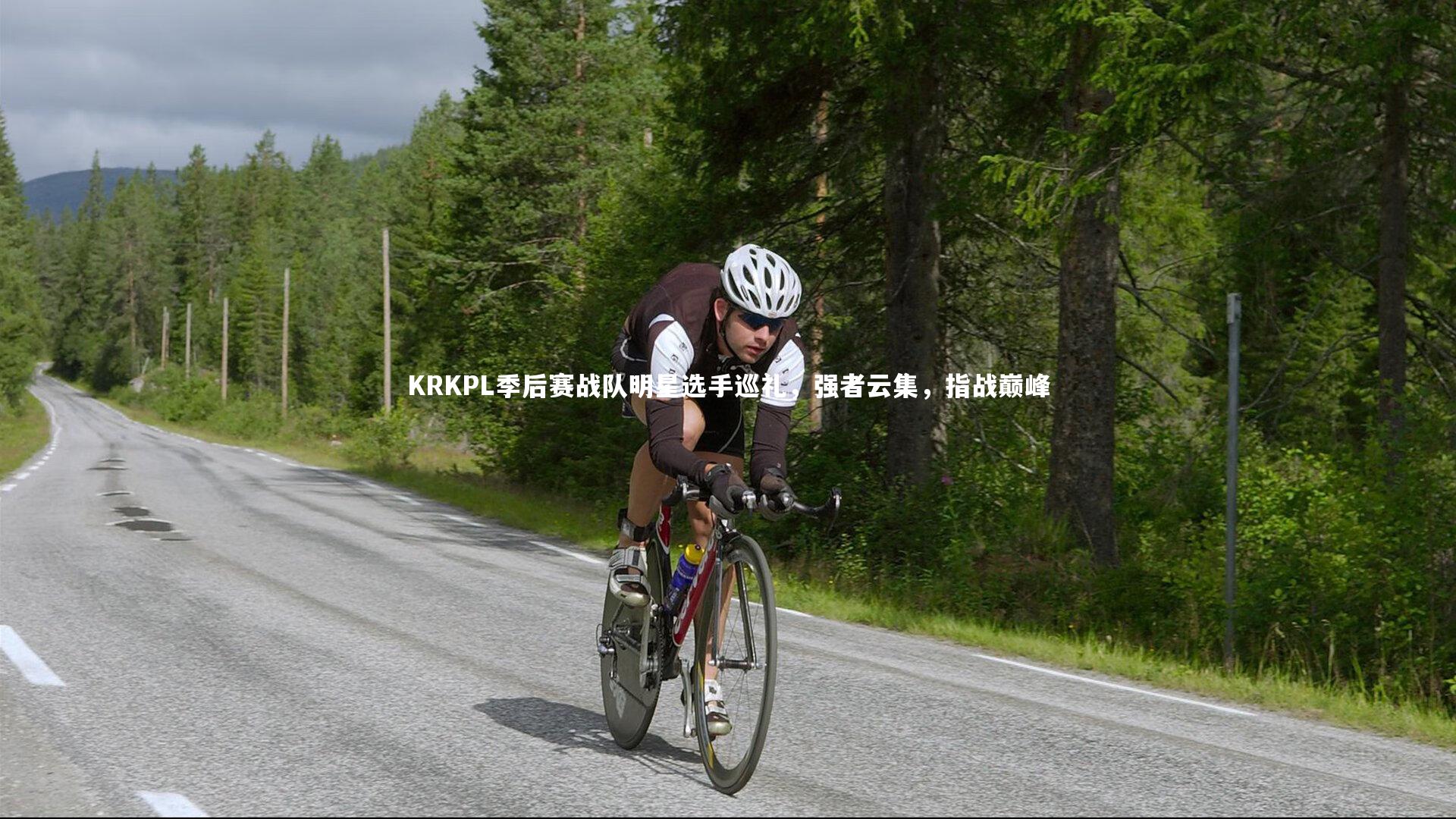 哈哈体育_KRKPL季后赛战队明星选手巡礼，强者云集，指战巅峰