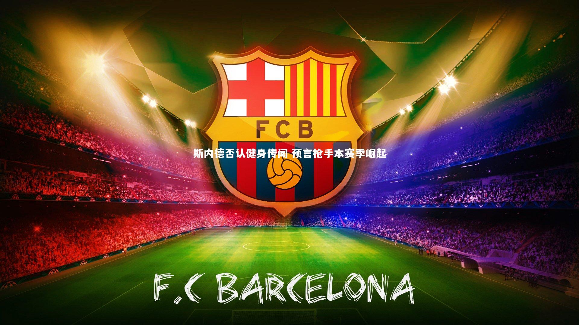 哈哈体育|斯内德否认健身传闻 预言枪手本赛季崛起