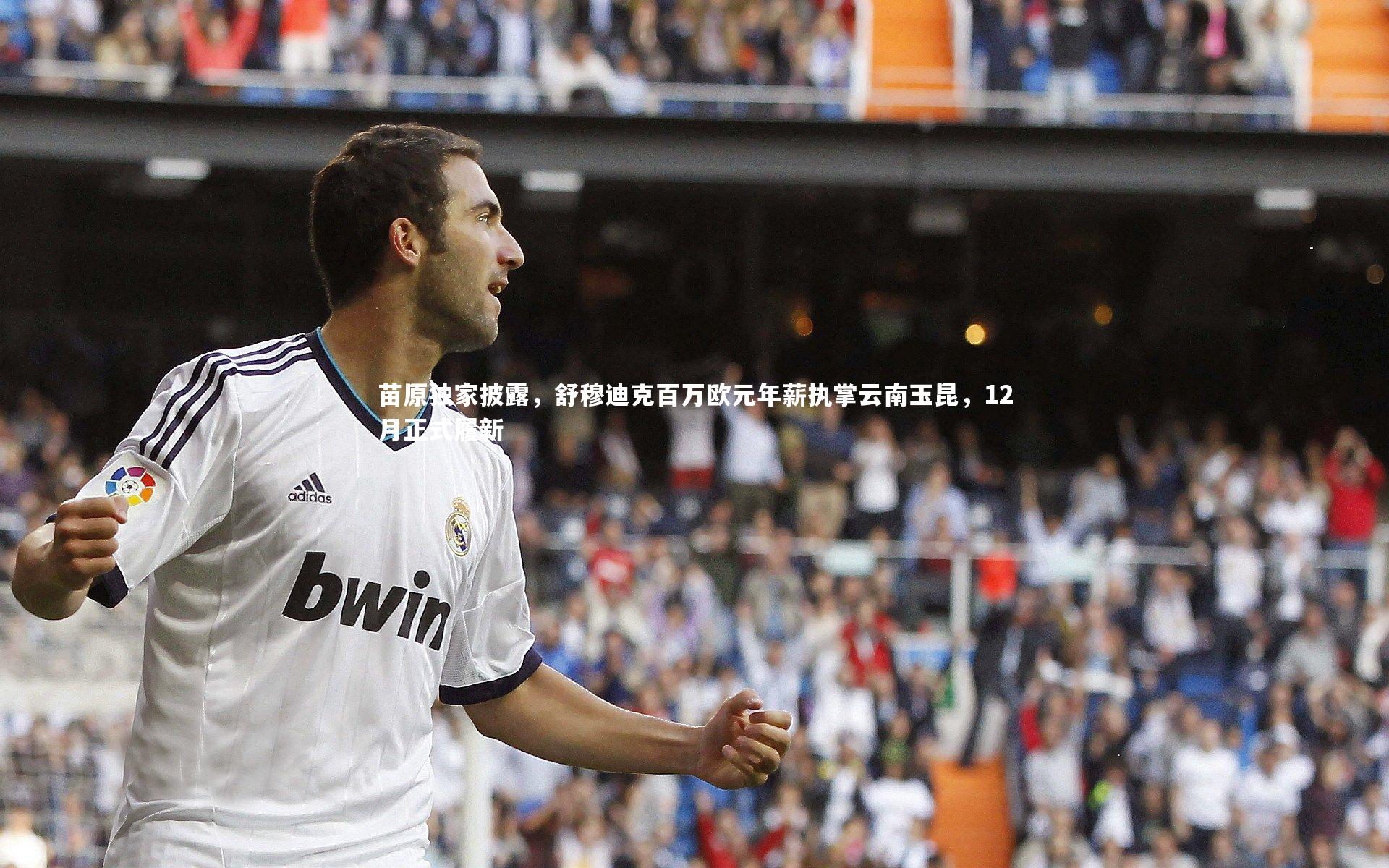 哈哈体育app|苗原独家披露，舒穆迪克百万欧元年薪执掌云南玉昆，12月正式履新